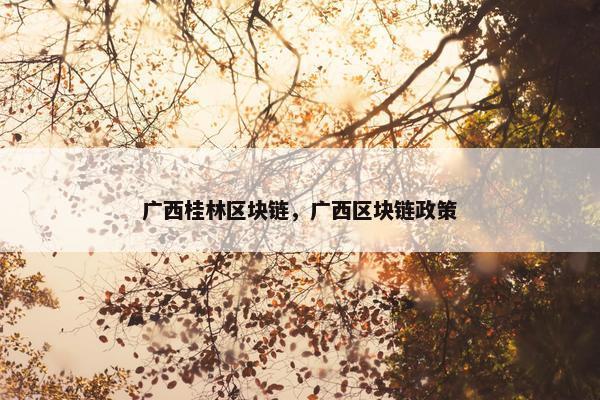 广西桂林区块链，广西区块链政策
