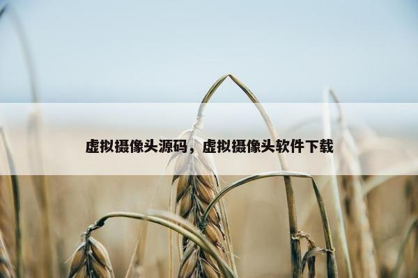 虚拟摄像头源码，虚拟摄像头软件下载