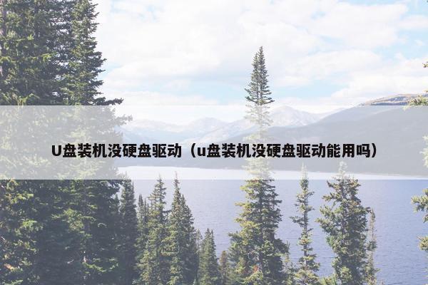 U盘装机没硬盘驱动（u盘装机没硬盘驱动能用吗）