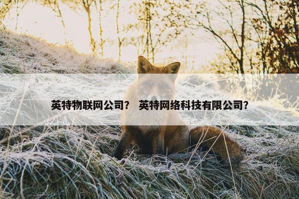 英特物联网公司？ 英特网络科技有限公司？