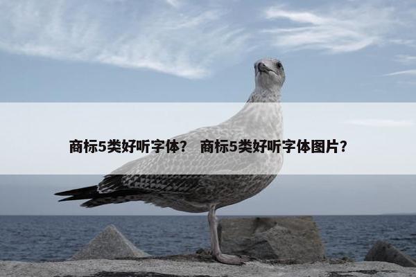 商标5类好听字体？ 商标5类好听字体图片？