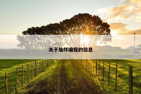 关于抽样编程的信息