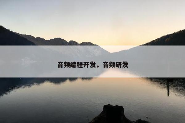 音频编程开发，音频研发