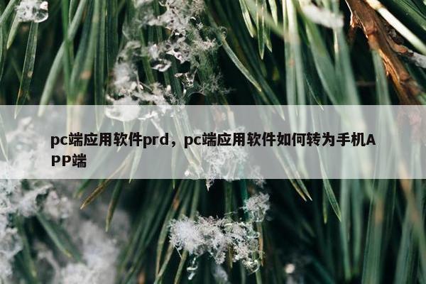pc端应用软件prd，pc端应用软件如何转为手机APP端