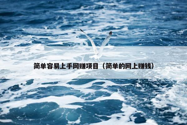 简单容易上手网赚项目（简单的网上赚钱）