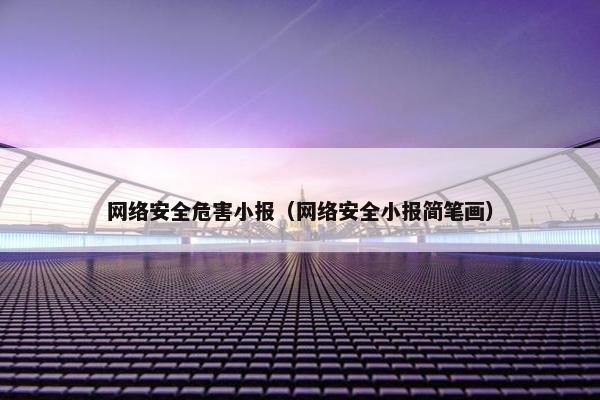 网络安全危害小报（网络安全小报简笔画）