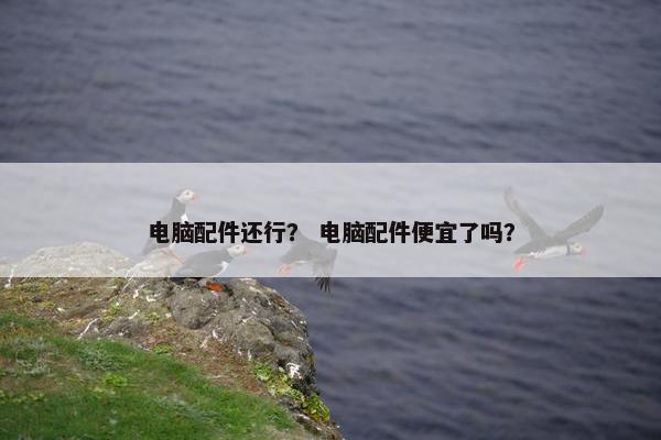 电脑配件还行？ 电脑配件便宜了吗？