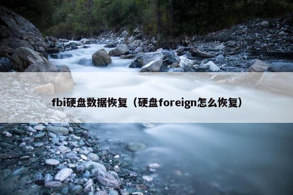 fbi硬盘数据恢复（硬盘foreign怎么恢复）