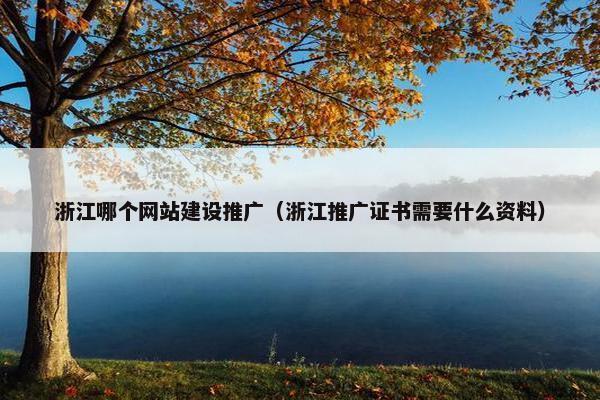 浙江哪个网站建设推广（浙江推广证书需要什么资料）