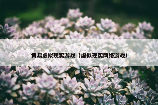 黄易虚拟现实游戏（虚拟现实网络游戏）