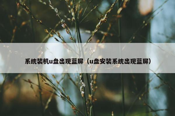 系统装机u盘出现蓝屏（u盘安装系统出现蓝屏）