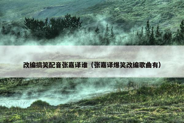 改编搞笑配音张嘉译谁（张嘉译爆笑改编歌曲有）