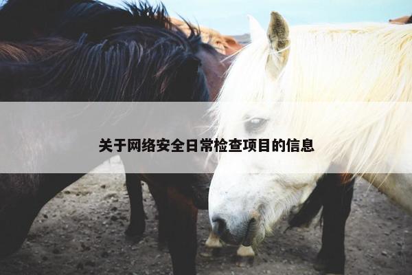 关于网络安全日常检查项目的信息