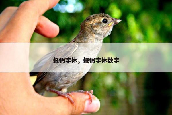 报销字体，报销字体数字