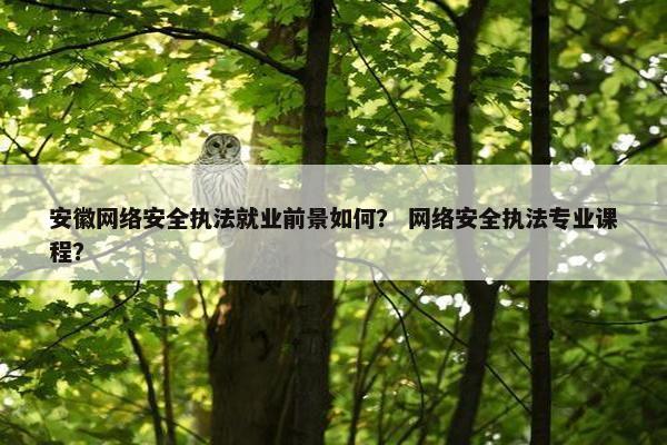 安徽网络安全执法就业前景如何？ 网络安全执法专业课程？