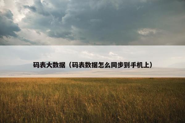 码表大数据（码表数据怎么同步到手机上）