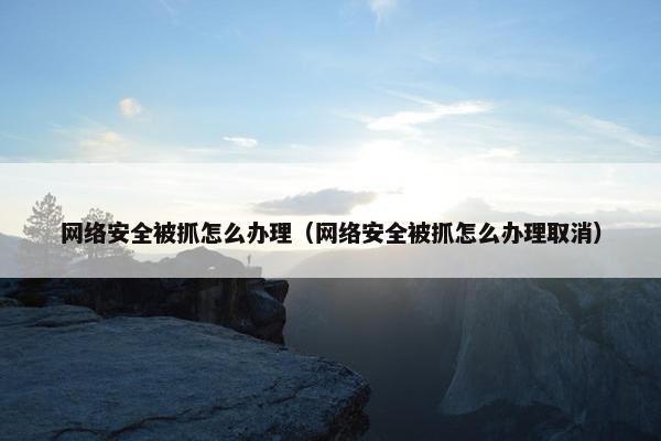 网络安全被抓怎么办理（网络安全被抓怎么办理取消）