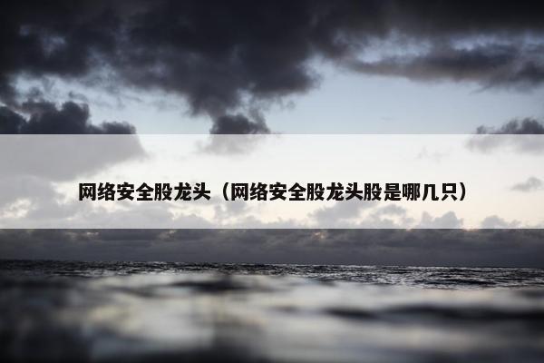 网络安全股龙头（网络安全股龙头股是哪几只）