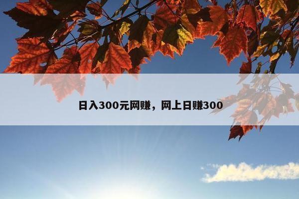 日入300元网赚，网上日赚300