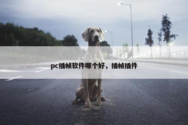 pc插帧软件哪个好，插帧插件