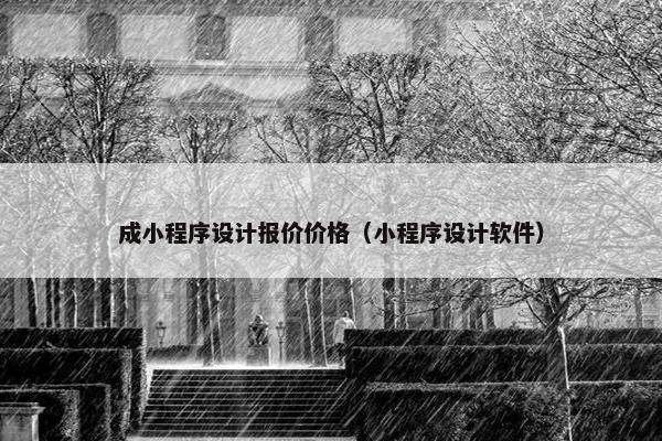 成小程序设计报价价格（小程序设计软件）