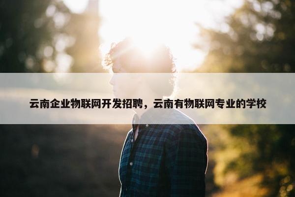 云南企业物联网开发招聘，云南有物联网专业的学校