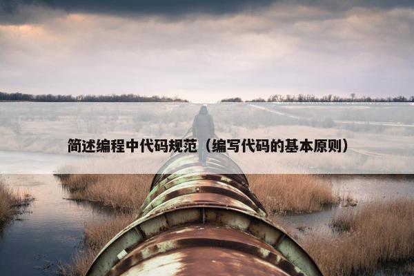 简述编程中代码规范（编写代码的基本原则）