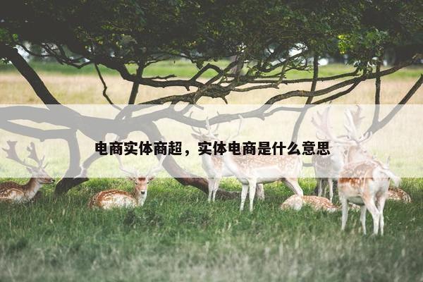 电商实体商超，实体电商是什么意思
