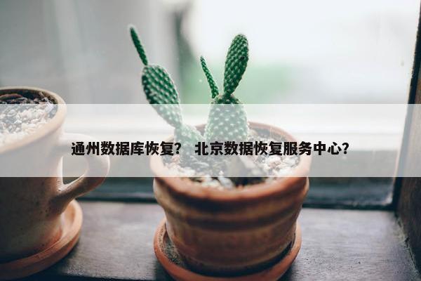 通州数据库恢复？ 北京数据恢复服务中心？