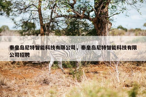 秦皇岛尼特智能科技有限公司，秦皇岛尼特智能科技有限公司招聘