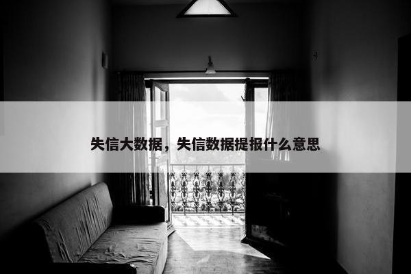 失信大数据，失信数据提报什么意思