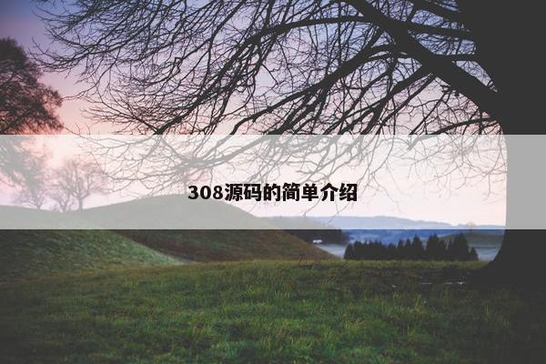 308源码的简单介绍