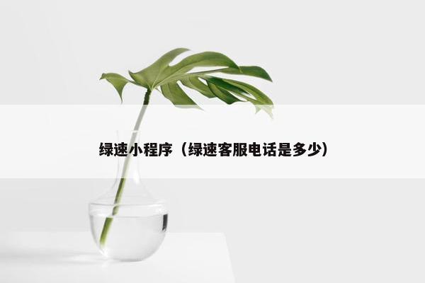 绿速小程序（绿速客服电话是多少）