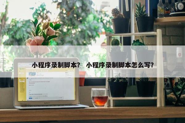小程序录制脚本？ 小程序录制脚本怎么写？