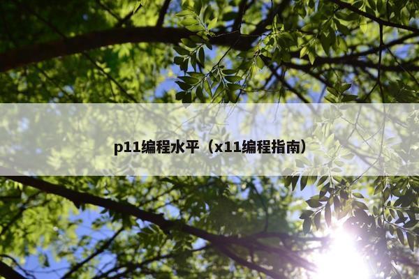 p11编程水平（x11编程指南）
