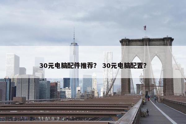 30元电脑配件推荐？ 30元电脑配置？