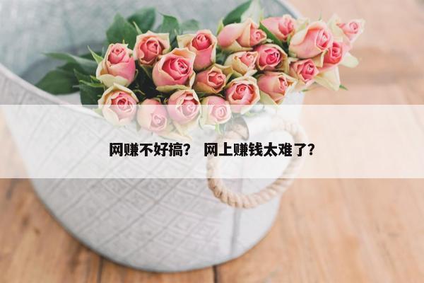 网赚不好搞？ 网上赚钱太难了？