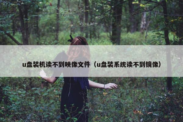 u盘装机读不到映像文件（u盘装系统读不到镜像）