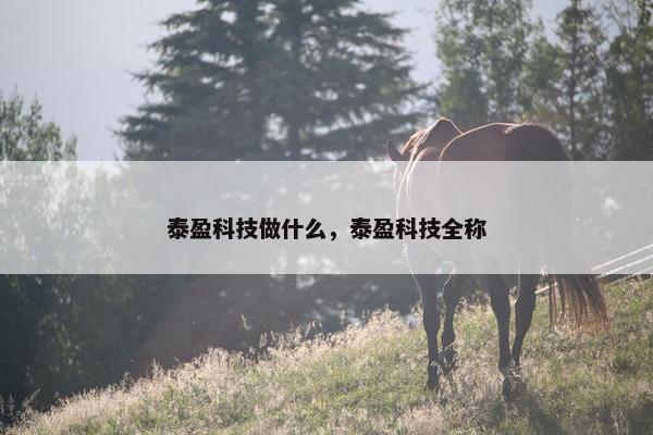 泰盈科技做什么，泰盈科技全称