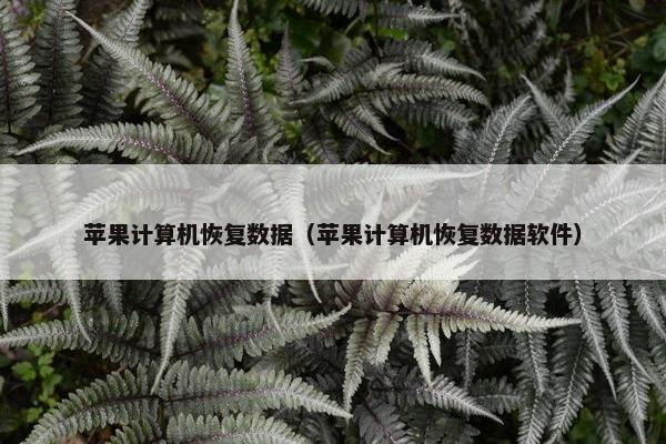 苹果计算机恢复数据（苹果计算机恢复数据软件）