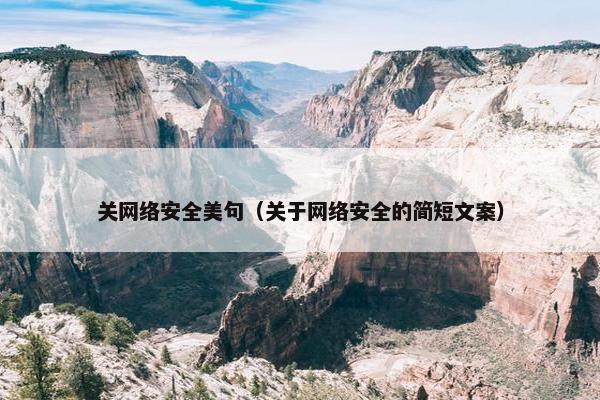 关网络安全美句（关于网络安全的简短文案）