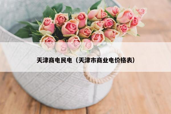 天津商电民电（天津市商业电价格表）