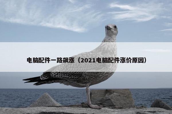 电脑配件一路飙涨（2021电脑配件涨价原因）
