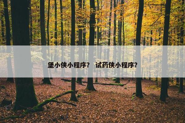 堡小侠小程序？ 试药侠小程序？