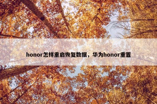 honor怎样重启恢复数据，华为honor重置