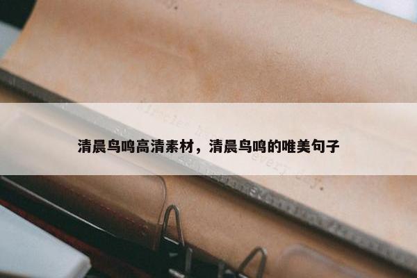 清晨鸟鸣高清素材，清晨鸟鸣的唯美句子