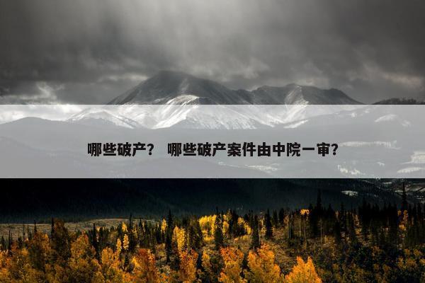 哪些破产？ 哪些破产案件由中院一审？