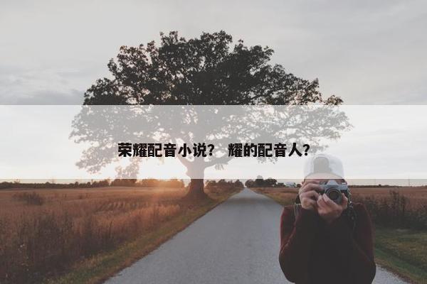 荣耀配音小说？ 耀的配音人？
