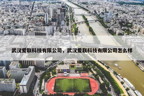 武汉爱联科技有限公司，武汉爱联科技有限公司怎么样