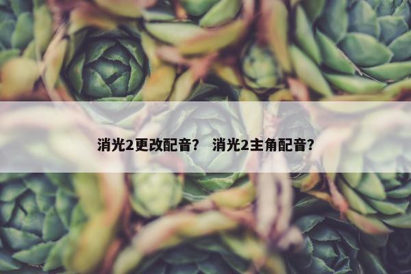 消光2更改配音？ 消光2主角配音？